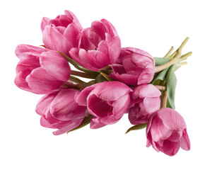 Fototapeta premium Vibrant bouquet of pink tulips for spring decor and celebration