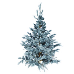 The Spruce Tree 3d Illustration