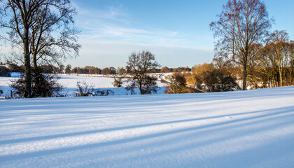 Obraz premium the image showcases a serene winter scene with a field covered in fresh snow as the primary focus. long shadows stretch across the snow covered foreground, creating a play of light and dark