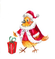 Watercolor cute bird in a Santa Claus costume with a gift. A hand-drawn Christmas card.