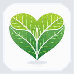 Heart Shaped Green Leaves on White Background
