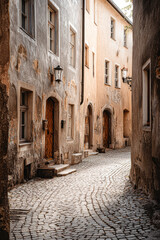 Obraz premium A narrow cobblestone street lined with weathered buildings, showcasing rustic charm and historical architecture.