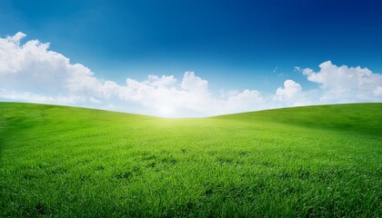Obraz premium Green Grass Field With Blue Sky For Background Or Nature Image