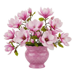 Obraz premium Pink magnolia flowers in a decorative pink vase isolated on transparent background