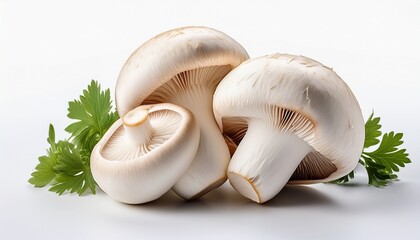 Fototapeta premium Fresh And Natural White Mushroom Isolated On White Background