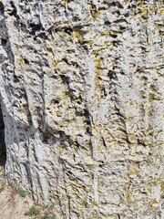 stone wall background texture. close up of a limestone formation at Pobiti Kamani (The Stone Forest) in Bulgaria