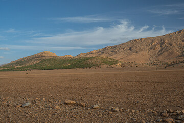 Arid rocky desert plain in Morocco with sparse vegetation, rugged dry mountains, and a patch of green trees under a clear blue sky
