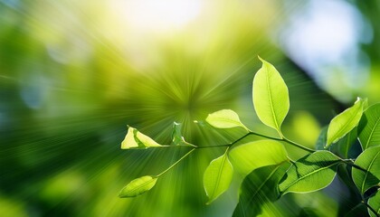 Fototapeta premium Abstract Image Of Blurred Green Leaves And Plant Details Radial Motion Blur Natural Artistic Background