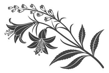 Elegant silhouette of bell shaped flowers and leaves