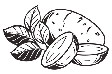 Stylized black and white illustration of potatoes and leaves