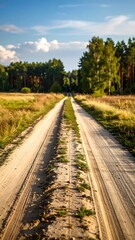 Fototapeta premium A country road winds through a golden field and forest