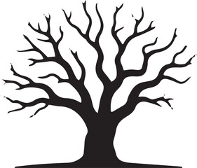 Silhouette of a bare deciduous tree with intricate branches reaching outward against a light backdrop