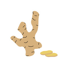 Vector illustration of simple ginger root with slice isolated transparent background. Perfect botany book illustration traditional medicine and healthy food plant. EPS 10