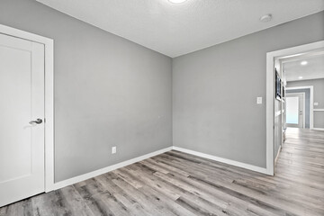 Room with a white door and a grey wall