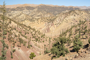Mountain valley in Morocco with rocky slopes, sparse green trees, and clear blue sky showing natural desert highlands landscape