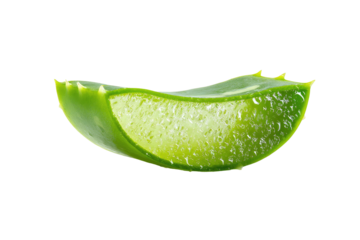 Close-up slice of aloe vera leaf, vibrant green