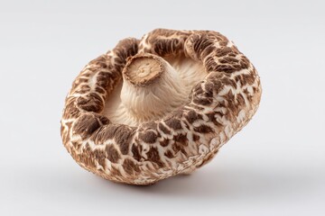 Closeup of a fresh shiitake mushroom on a white surface showcasing its textured cap and stem