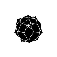 Obraz premium Black silhouette of a succulent plant top view