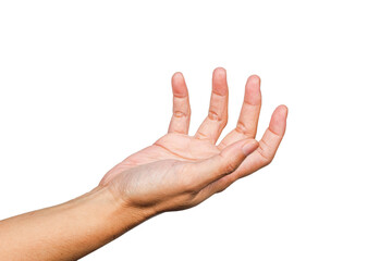 hand open, hand gesture or finger gesture, hand sign isolated on transparent background