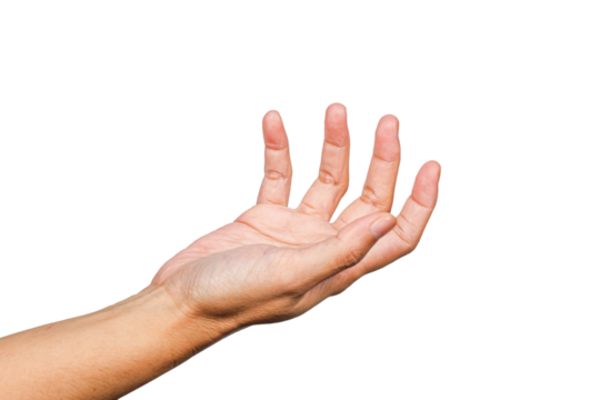 hand open, hand gesture or finger gesture, hand sign isolated on transparent background