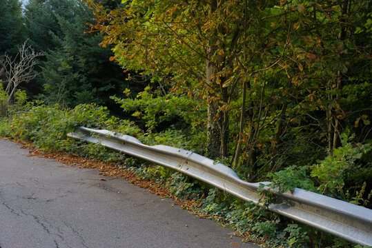 A bent and dented metal guardrail on a winding road, partially overgrown with lush green and brown leaves, capturing a scene of decay and the slow reclamation of man-made objects by nature.