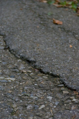 A cracked and weathered asphalt road with visible gravel and a single fallen leaf, creating a textured and moody image of urban decay, damage, and neglect.