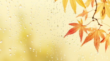 Autumn leaves through rainy window