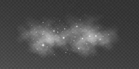 Snowy fog effect with blurred bright snow particles in motion on a transparent background. Magical light effects for festive or fantasy themes. Abstract lights bokeh with smoke. Vector illustration.