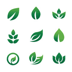 Collection of Green Leaf Logos for Eco-Friendly Brands