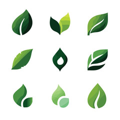 Collection of Green Leaf Logos for Eco-Friendly Brands