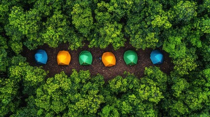 Colorful tents nestled in a lush forest.  Bird's-eye view