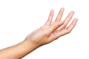 women hand holding something, hand gesture or finger gesture, hand sign isolated on transparent background