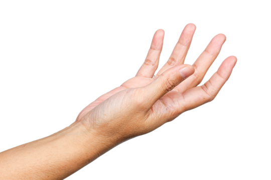 women hand holding something, hand gesture or finger gesture, hand sign isolated on transparent background