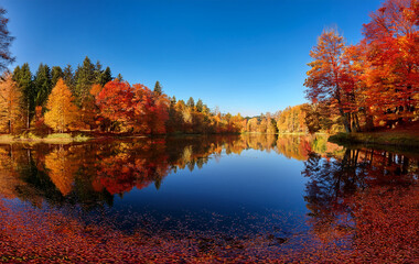 Fototapeta premium Generated Image