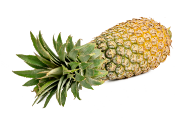 Photo of pineapple taken with a high-resolution camera stacking focus technic using on a white background.