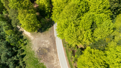 Aerial view of a winding road surrounded by lush green trees. This vibrant forest scene captures the beauty of nature, illustrating a serene outdoor environment perfect for outdoor activities.