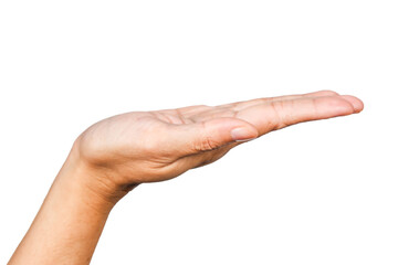 women hand holding something, hand gesture or finger gesture, hand sign isolated on transparent background
