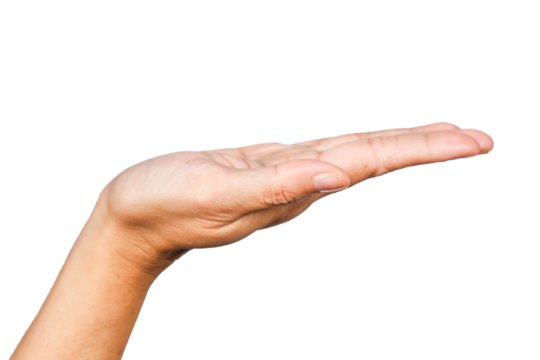 women hand holding something, hand gesture or finger gesture, hand sign isolated on transparent background - Powered by Adobe