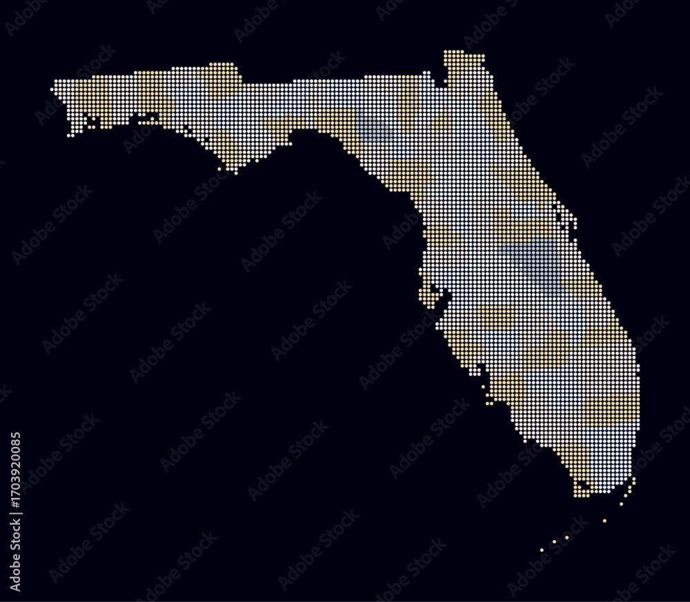 Poster florida dotted map. digital style map of the state on dark background. florida shape with circle dot