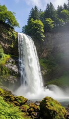 Fototapeta premium waterfall in the forest