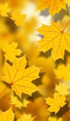 Fototapeta premium autumn leaves background