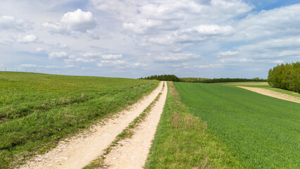 Scenic rural landscape with a dirt road winding through lush green fields under a bright sky with fluffy clouds. Ideal for nature and travel themes.