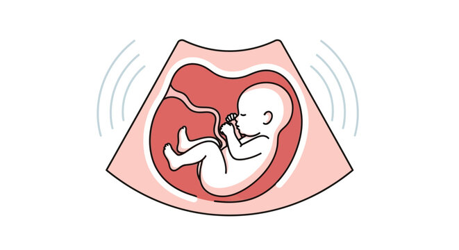 Vector Illustration of Fetus Inside Womb with Umbilical Cord and Ultrasound Waves Representing Prenatal Scan