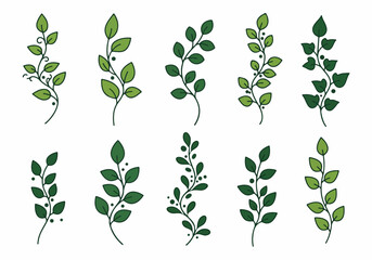 Collection of Stylized Green Leaf Branches and Sprigs on White Background, Nature-Inspired Vector Elements for Design