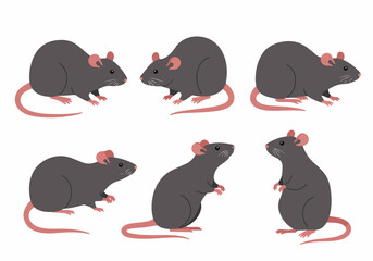 Six Cartoon Gray Rats in Various Poses - Vector Illustration Set