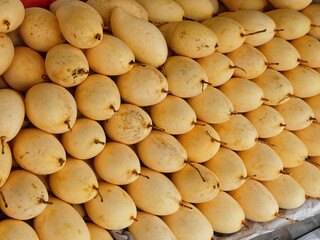 Mangoes Fruit stall shop display ripe golden yellow mango sweetness dessert Asia travel