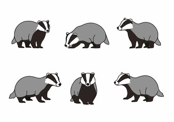 Cartoon Badger Character Set: Adorable Wildlife Illustrations in Various Poses on White Background, Perfect for Children's Designs. © Nafa Project