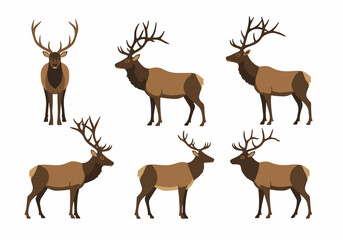Stylized vector collection of majestic deer and elk with impressive antlers in various poses on white for nature and wildlife designs.