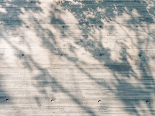 Tree leaves shadow on wall Nature abstract background