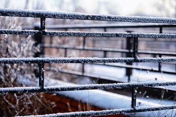 Winter atmospheric landscape with frost-covered dry plants during snowfall. Winter Christmas...